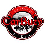 CARBUEY SL