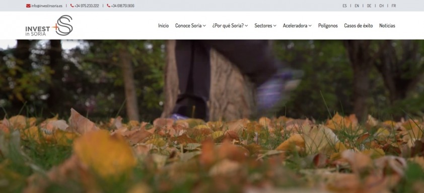 GESDINET. Diseño web